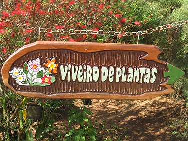 Placa Entalhada - Viveiro de Plantas