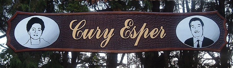Placa Entalhada - Placa Cury Esper