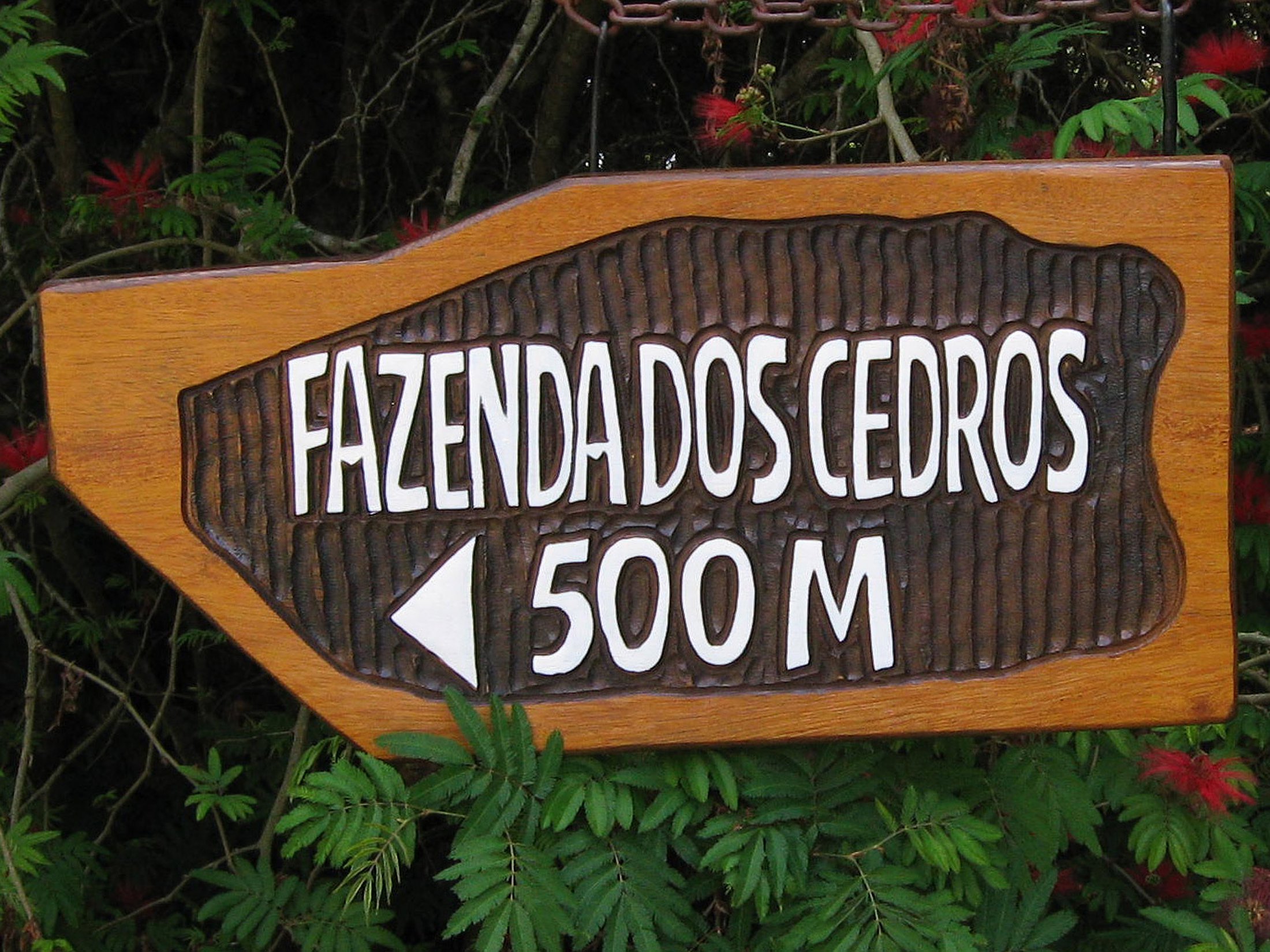 Placas De Madeira Para Fazenda - RETOEDU