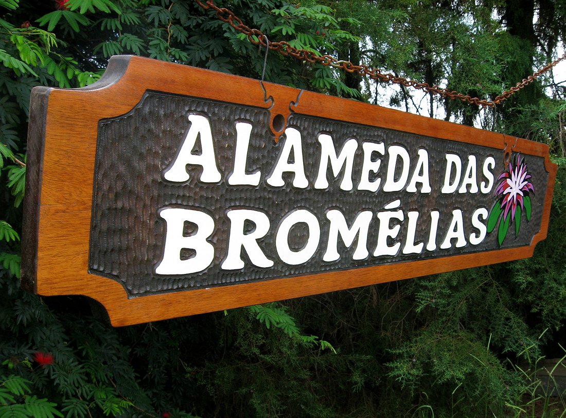 Alameda das Bromélias