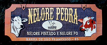 Placa Entalhada - Nelore Pedra