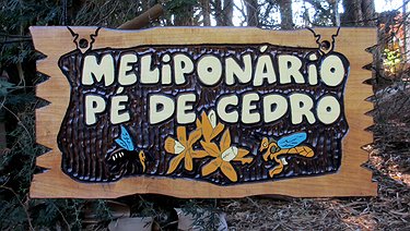 Placa Entalhada - Melipolinário Pé de Cedro