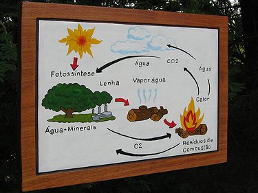 Placa Entalhada - Fotossíntese