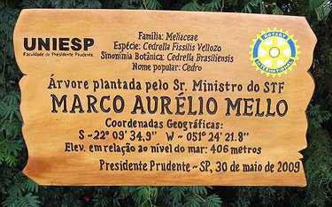 Placa Entalhada - Identificação de Árvores