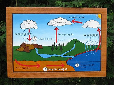 Placa Entalhada - Precipitação
