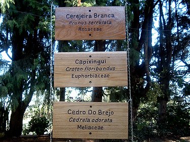 Placa Entalhada - Identificação de Vegetais