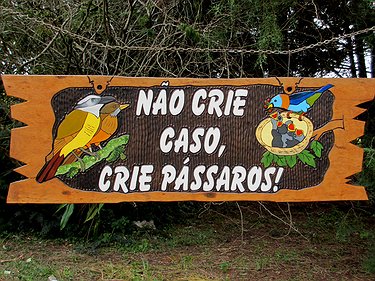 Placa Entalhada - Não Crie Caso, Crie Pássaros