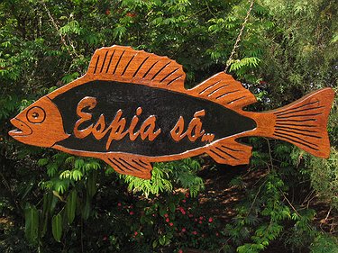 Placa Entalhada - Espia Só