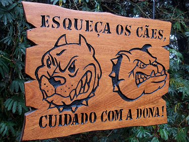 Placa Entalhada - Esqueça dos Cães, Cuidado Com a Dona