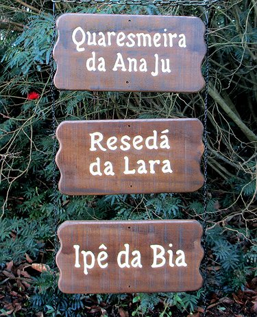 Placa Entalhada - Quaresmeira da Ana Ju e outras