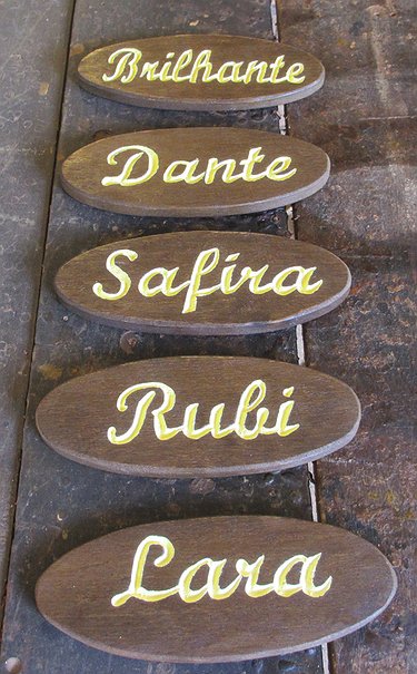 Placa Entalhada - Brilhante, Dante, Safira, Lara