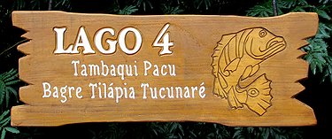 Placa Entalhada - Lago 4
