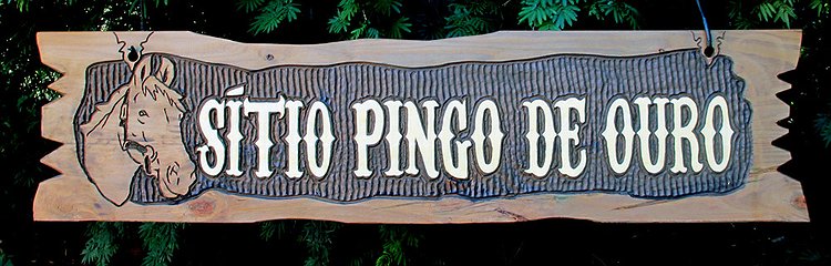 Placa Entalhada - Sítio Pingo de Ouro
