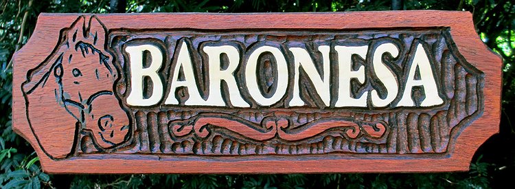 Placa Entalhada - Baronesa