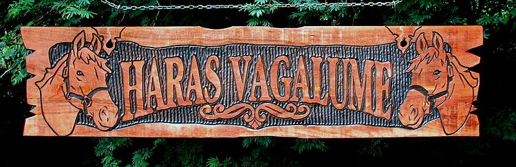 Placa Entalhada - Haras Vagalume