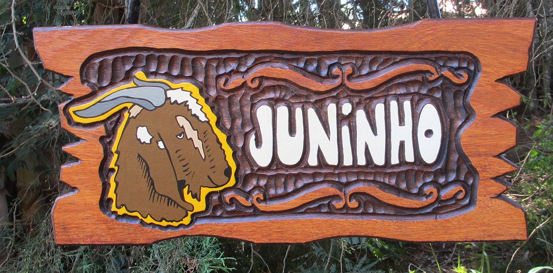 Placa Entalhada - Juninho - Imagem 1