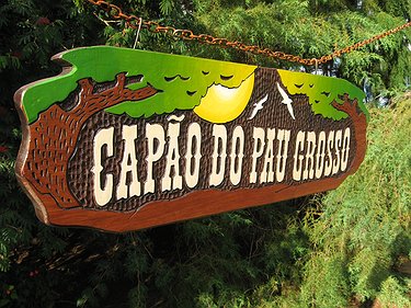 Placa Entalhada - Capão do Pau Grosso