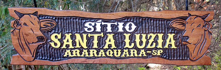 Placa Entalhada - Sítio Santa Luzia