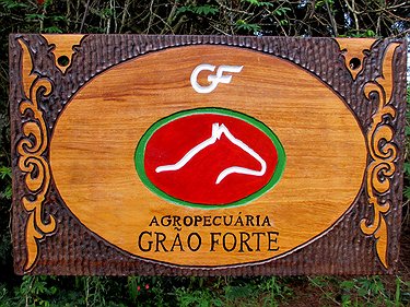 Placa Entalhada - Agropecuária Grão Forte